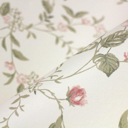 BORASTASPETER　『Rose Garden』　ボラスタペーター スウェーデン製 『Newbie wallpaper II（ニュービー 2）』【2color】（10m／１本単位）